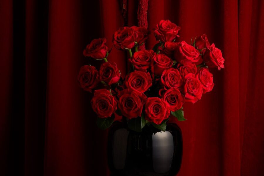 Rosas de Sant Jordi