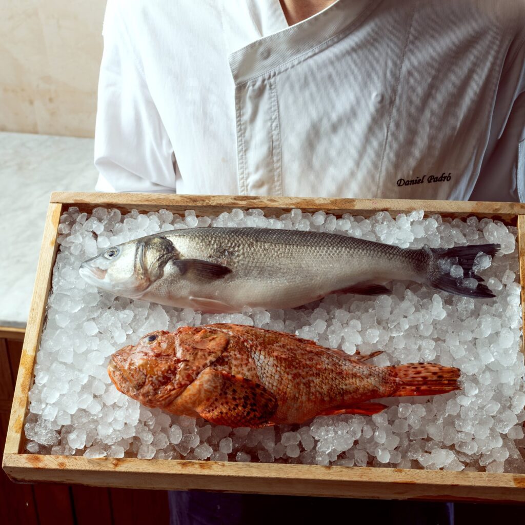 Pescado 5 - Pescado y Marisco - Restaurante de Pescado y Marisco en Barcelona - Jacqueline Barcelona | Jacqueline Barcelona Pescado 5 - Pescado y Marisco - Restaurante de Pescado y Marisco en Barcelona - Jacqueline Barcelona | Jacqueline Barcelona