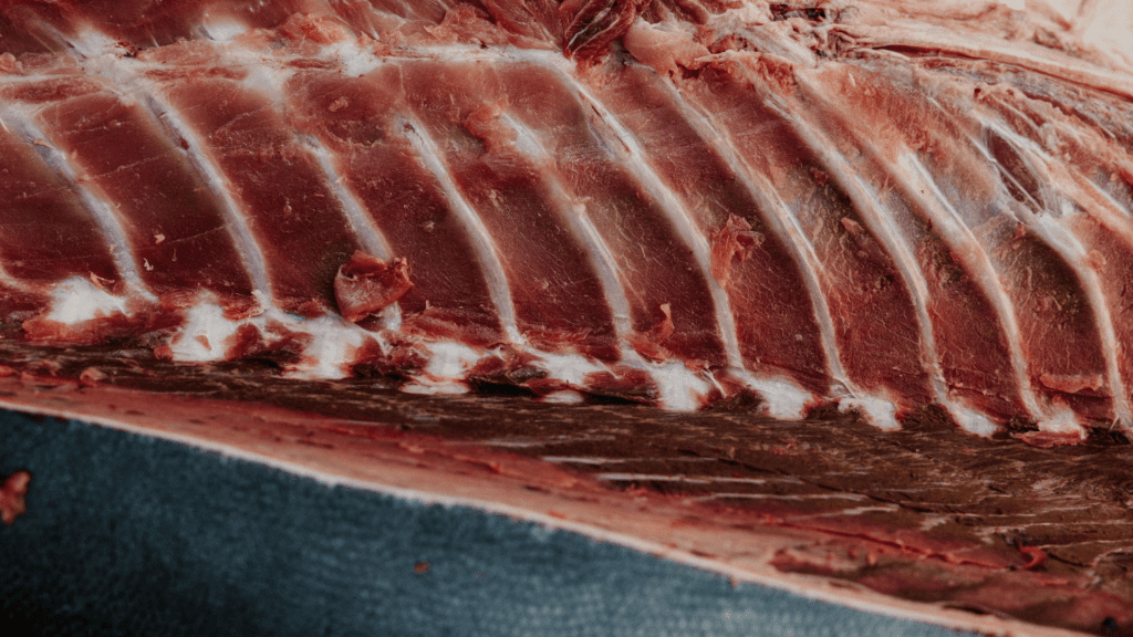 corte-atun-almadraba-experiencia-gastronomica-f1 svg+xml;charset=utf